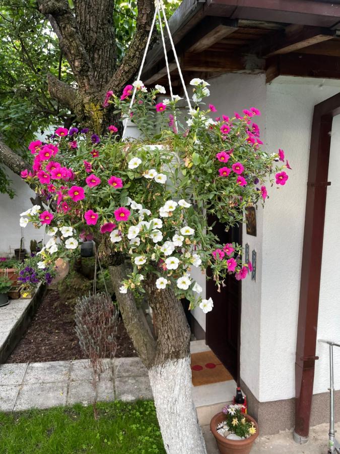 סראייבו Apartments Music, Garden And Free Parking מראה חיצוני תמונה